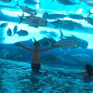 Meet your Posher, Stacy